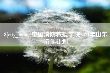 石河子中国消防救援学院2021年山东招生计划