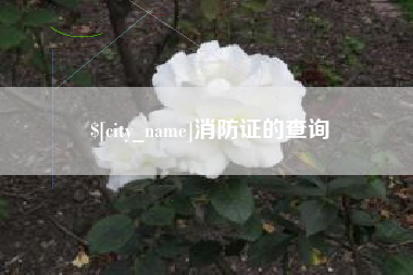 石河子消防证的查询