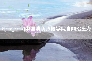 石河子中国消防救援学院官网招生办