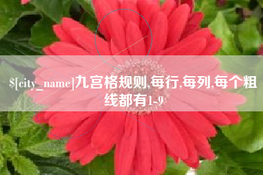 石河子九宫格规则,每行,每列,每个粗线都有1-9
