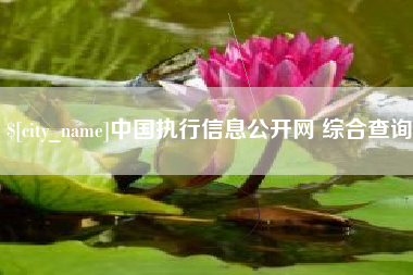 石河子中国执行信息公开网 综合查询