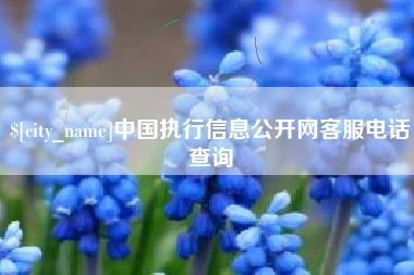 石河子中国执行信息公开网客服电话查询