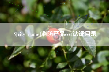 石河子消防产品cccf认证目录