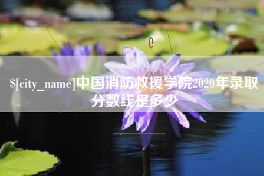 石河子中国消防救援学院2020年录取分数线是多少