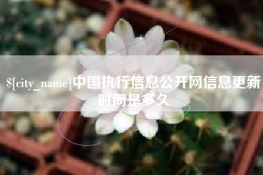 石河子中国执行信息公开网信息更新时间是多久