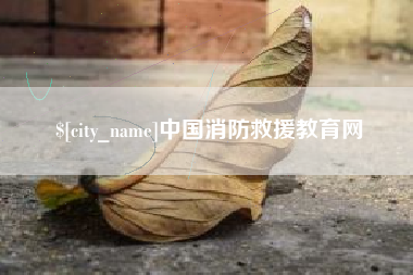 石河子中国消防救援教育网
