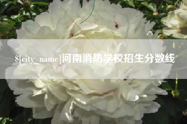 石河子河南消防学校招生分数线
