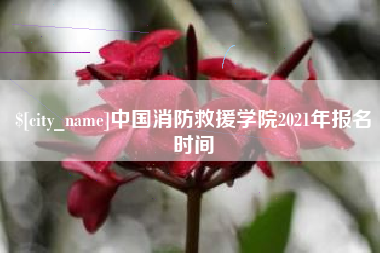 石河子中国消防救援学院2021年报名时间