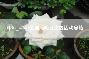 石河子全国消防日主题活动总结