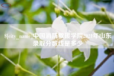 石河子中国消防救援学院2021年山东录取分数线是多少