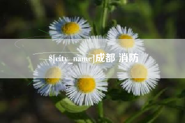 石河子成都 消防