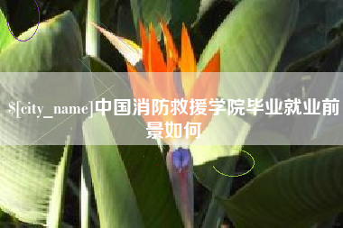 石河子中国消防救援学院毕业就业前景如何