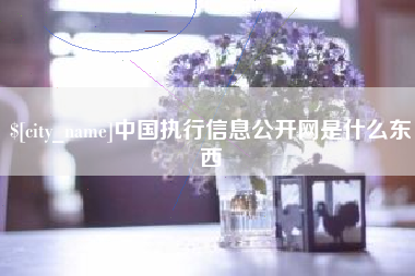 石河子中国执行信息公开网是什么东西