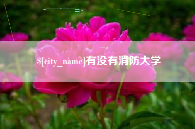 石河子有没有消防大学