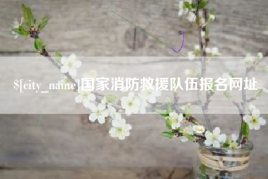 石河子国家消防救援队伍报名网址