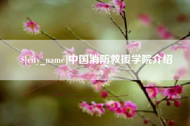 石河子中国消防救援学院介绍