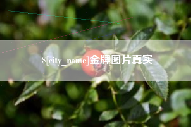 石河子金牌图片真实