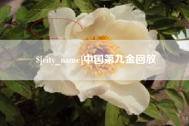 石河子中国第九金回放