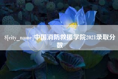 石河子中国消防救援学院2021录取分数