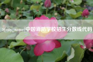 石河子中国消防学校招生分数线代码