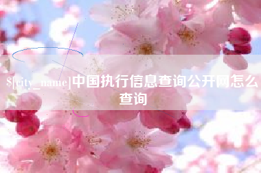 石河子中国执行信息查询公开网怎么查询
