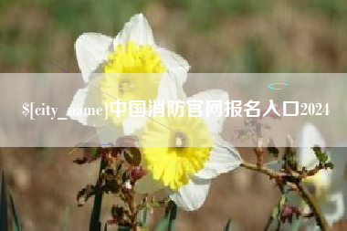 石河子中国消防官网报名入口2024