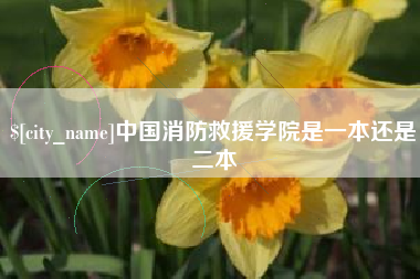 石河子中国消防救援学院是一本还是二本