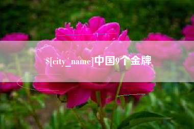 石河子中国9个金牌