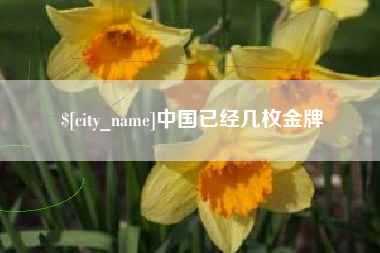 石河子中国已经几枚金牌