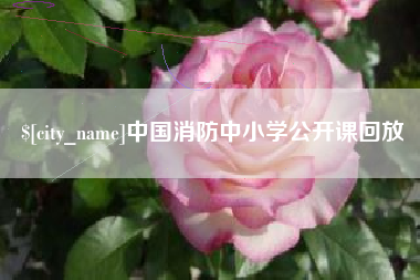 石河子中国消防中小学公开课回放