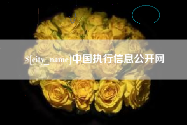 石河子中国执行信息公开网