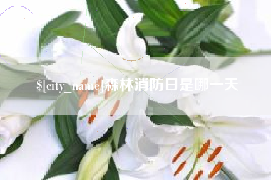 石河子森林消防日是哪一天