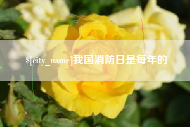 石河子我国消防日是每年的