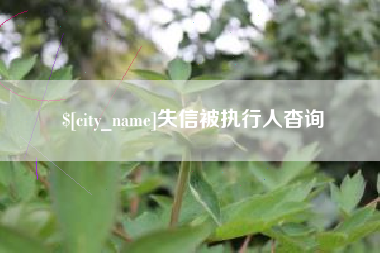 石河子失信被执行人杳询