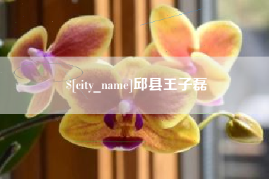 石河子邱县王子磊