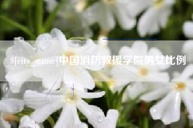 石河子中国消防救援学院男女比例