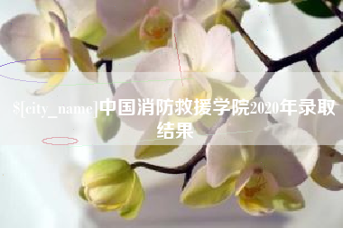 石河子中国消防救援学院2020年录取结果