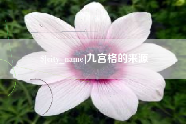 石河子九宫格的来源