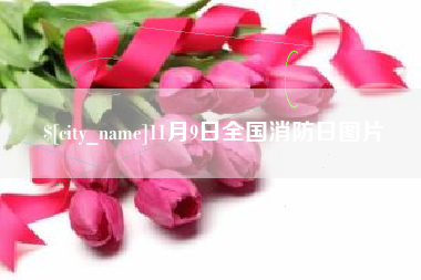 石河子11月9日全国消防日图片