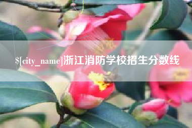 石河子浙江消防学校招生分数线