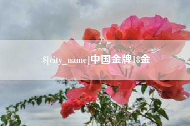 石河子中国金牌18金