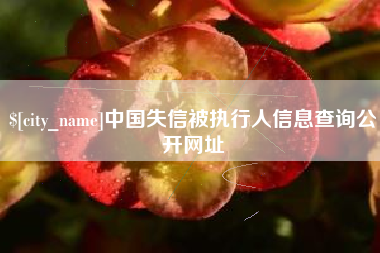 石河子中国失信被执行人信息查询公开网址