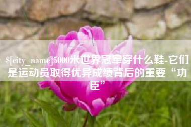 石河子5000米世界冠军穿什么鞋-它们是运动员取得优异成绩背后的重要“功臣”
