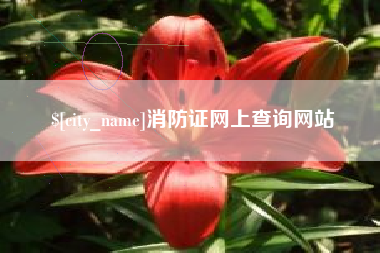 石河子消防证网上查询网站