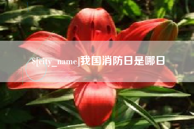 石河子我国消防日是哪日