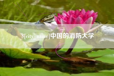 石河子中国的消防大学