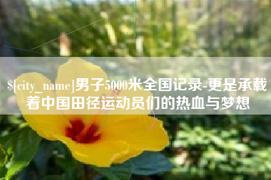石河子男子5000米全国记录-更是承载着中国田径运动员们的热血与梦想