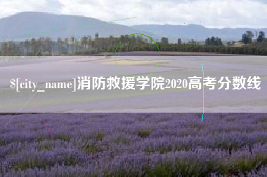 石河子消防救援学院2020高考分数线