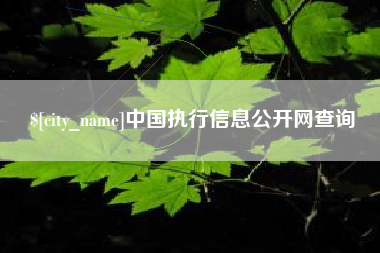 石河子中国执行信息公开网查询