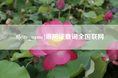 石河子消防证查询全国联网